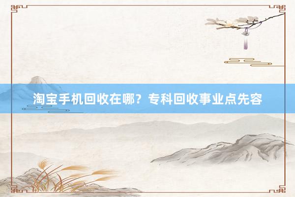 淘宝手机回收在哪？专科回收事业点先容